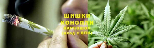 мяу мяу мука Белокуриха