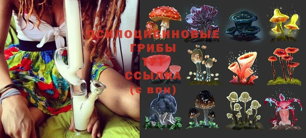 стафф Балабаново